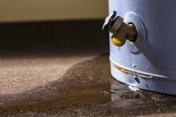 Best 24/7 water damage repair  in Biscayne Park, FL