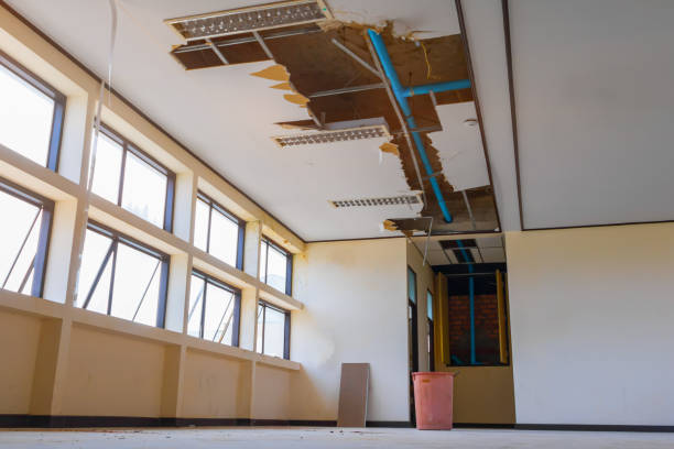 Best Basement water damage restoration  in Biscayne Park, FL