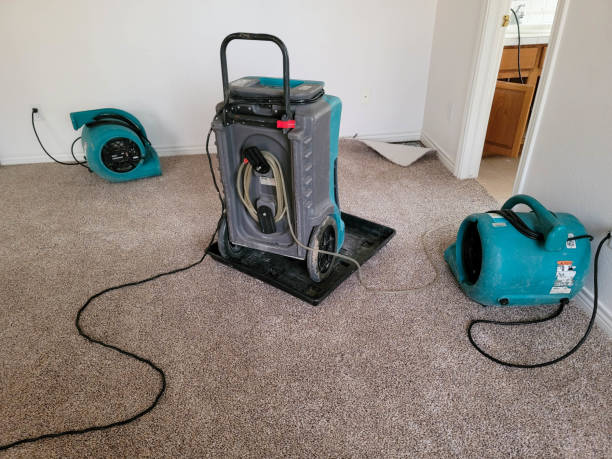 Best Water damage cleanup near me  in Biscayne Park, FL