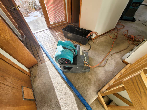 Best Commercial water damage restoration  in Biscayne Park, FL