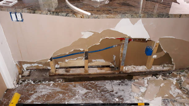 Best Flood damage cleanup  in Biscayne Park, FL