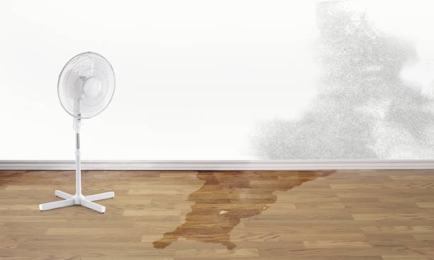Trusted Biscayne Park, FL Water damage restoration Experts