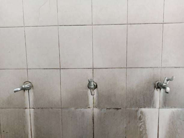 Best Water damage contractors near me  in Biscayne Park, FL