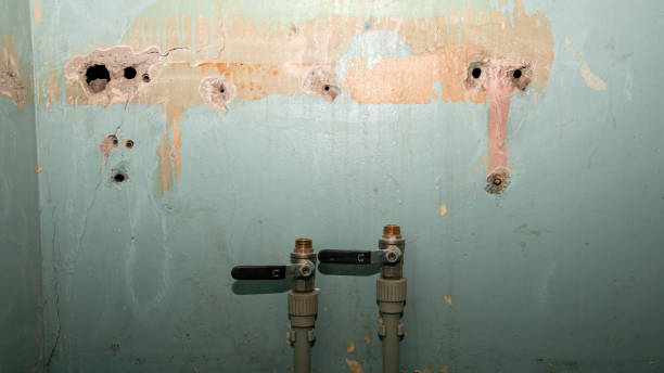 Best Water damage restoration cost  in Biscayne Park, FL