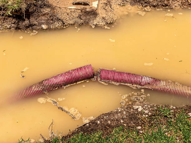Best Mold removal after water damage  in Biscayne Park, FL